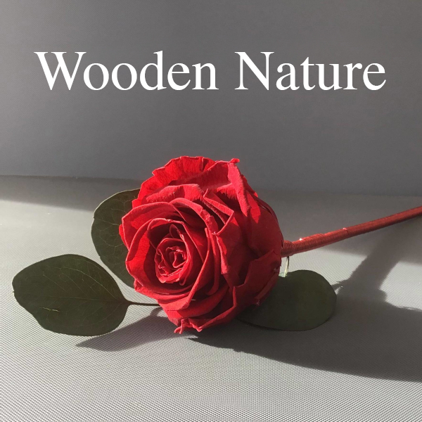 WOODEN NATURE